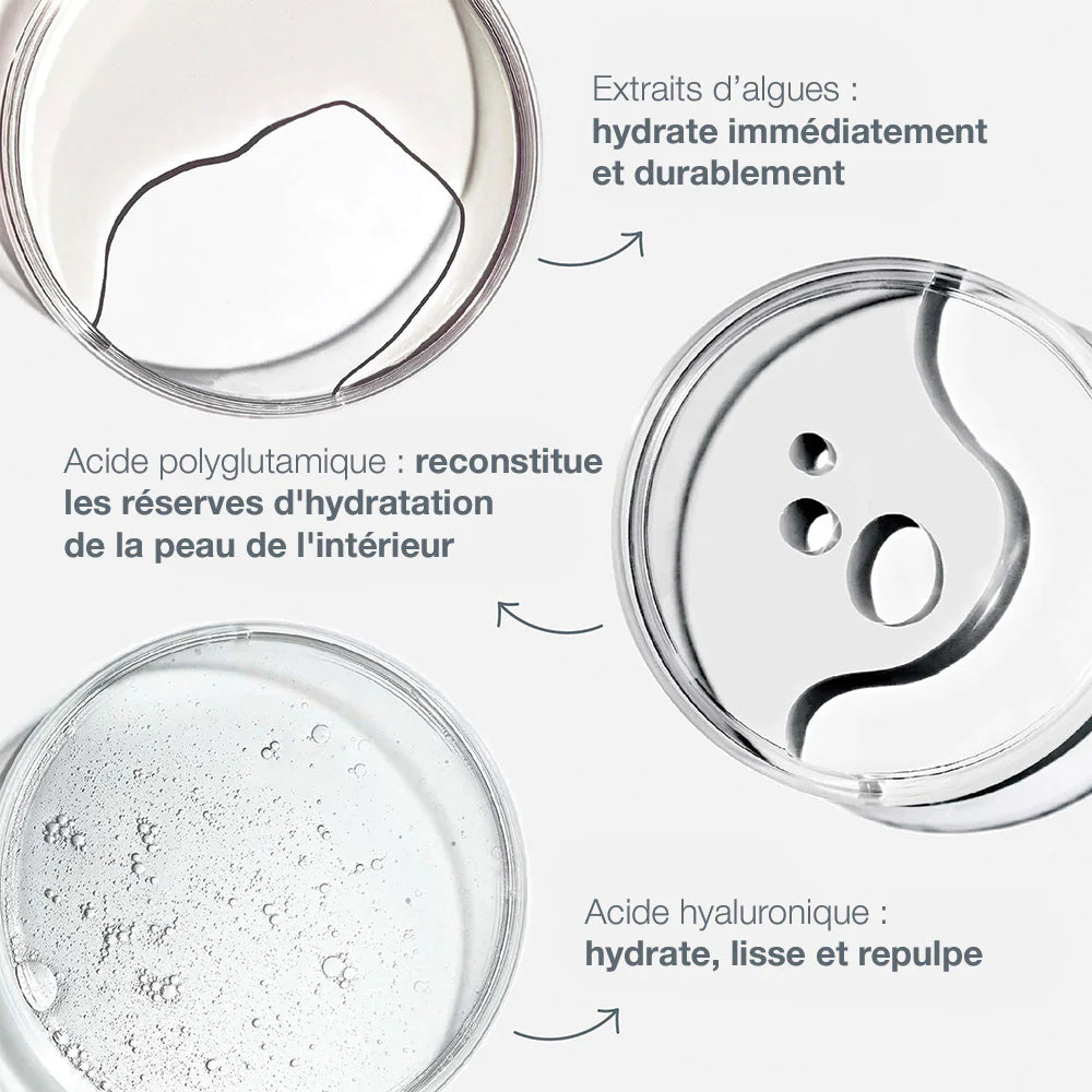 Sérum Hydratant Dermalogica composants