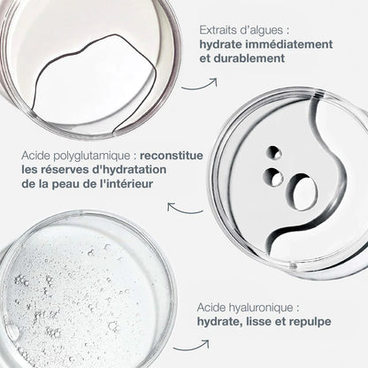 Sérum Hydratant Dermalogica composants